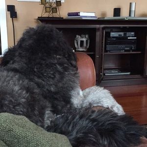 Meet your Posher, Hillary